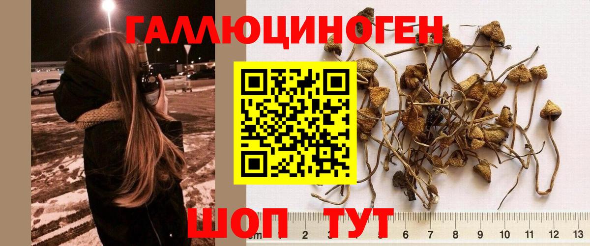 Галлюциногенные грибы мицелий Санкт-Петербург